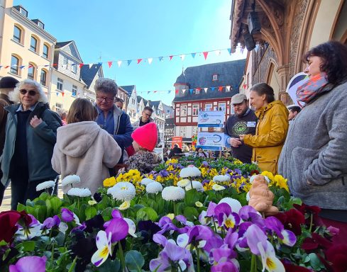 Montabaur blüht auf