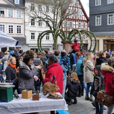Montabaur blüht auf 2019