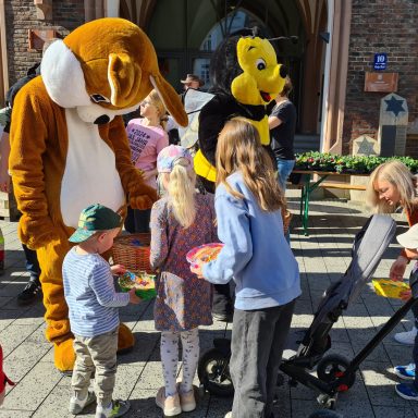 Montabaur blüht auf