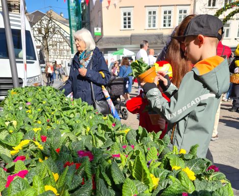 Montabaur blüht auf