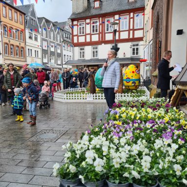 Frühlingserwachen Montabaur