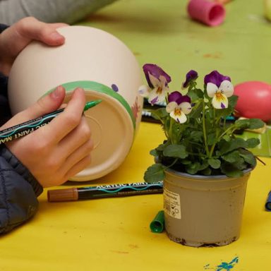 Montabaur blüht auf