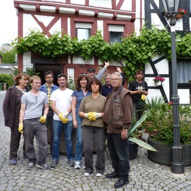 Pflanzaktion „Reben an den Rebstock“ in Kooperation mit den Anwohnern und dem Bauhof 2002 
