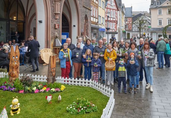 Montabaur blüht auf