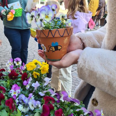 Montabaur blüht auf