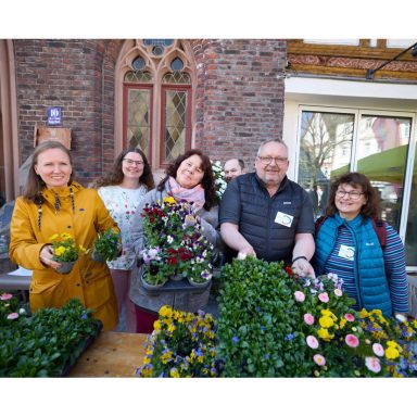 Montabaur blüht auf